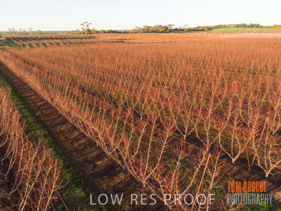 July 2017 / AGRI_1277