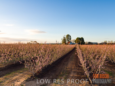 July 2017 / AGRI_1279