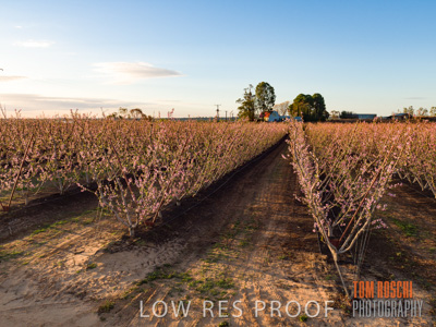 July 2017 / AGRI_1280