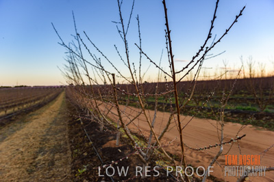 July 2017 / AGRI_1287