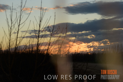 July 2017 / AGRI_1291