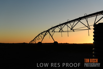 July 2018 / AGRI_1569