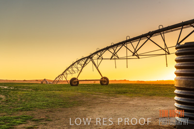 July 2018 / AGRI_1570