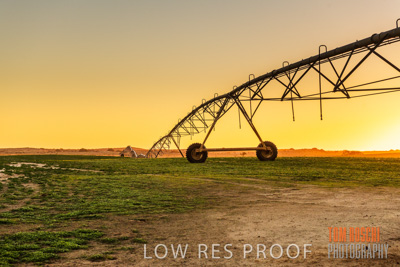 July 2018 / AGRI_1572