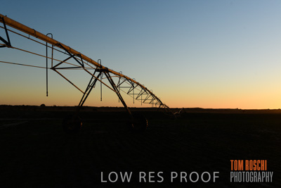 July 2018 / AGRI_1573