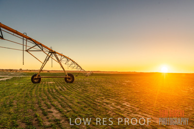 July 2018 / AGRI_1575