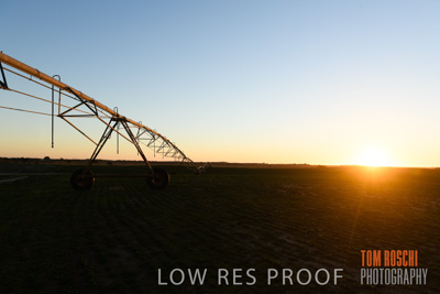 July 2018 / AGRI_1576