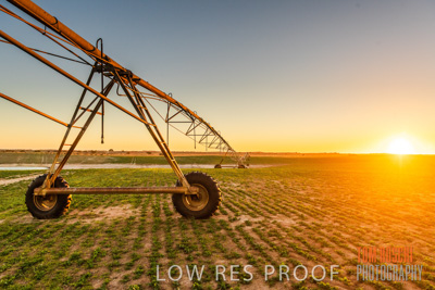 July 2018 / AGRI_1577