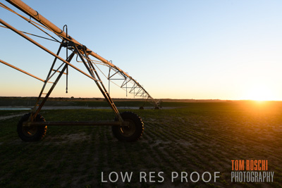 July 2018 / AGRI_1578