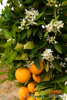 October 2018 / AGRI_1596