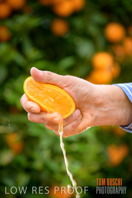 October 2018 / AGRI_1598