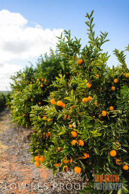 August 2013 / AGRI_655