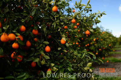 August 2013 / AGRI_659