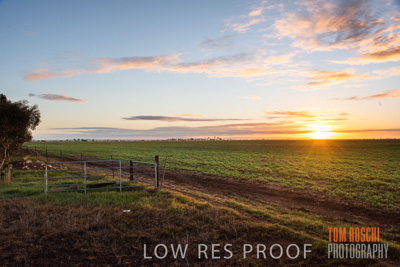 July 2015 / CROPS_CLOSE-UP_1040