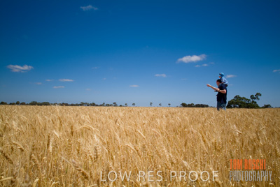 October 2006 / CROP_FIELDS_015
