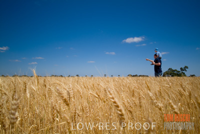October 2006 / CROP_FIELDS_016