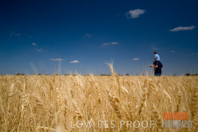 October 2006 / CROP_FIELDS_018