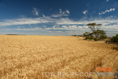 November 2014 / CROP_FIELDS_1024