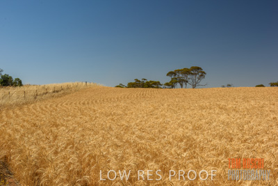 November 2014 / CROP_FIELDS_1025