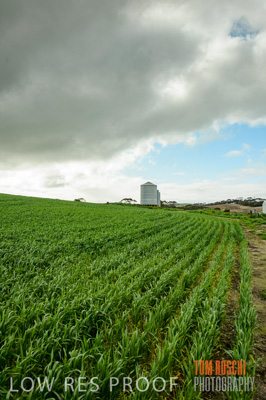 August 2015 / CROP_FIELDS_1070