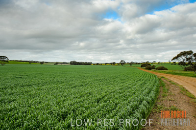 August 2015 / CROP_FIELDS_1072