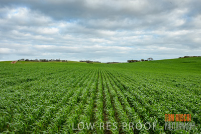 August 2015 / CROP_FIELDS_1080