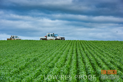August 2015 / CROP_FIELDS_1087