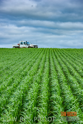 August 2015 / CROP_FIELDS_1090