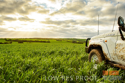 August 2015 / CROP_FIELDS_1094