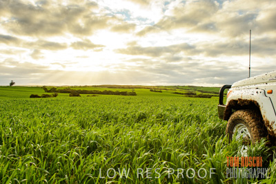 August 2015 / CROP_FIELDS_1095