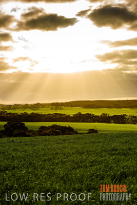 August 2015 / CROP_FIELDS_1106