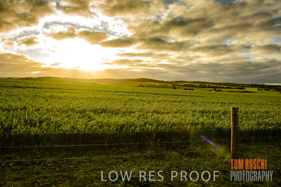 August 2015 / CROP_FIELDS_1107