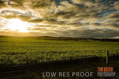 August 2015 / CROP_FIELDS_1108