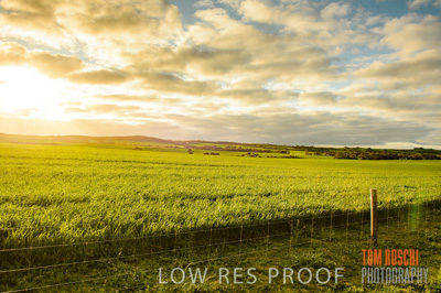 August 2015 / CROP_FIELDS_1109