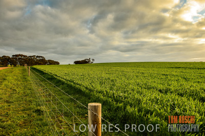 August 2015 / CROP_FIELDS_1111
