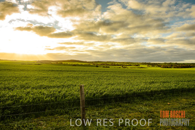 August 2015 / CROP_FIELDS_1112