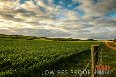 August 2015 / CROP_FIELDS_1113