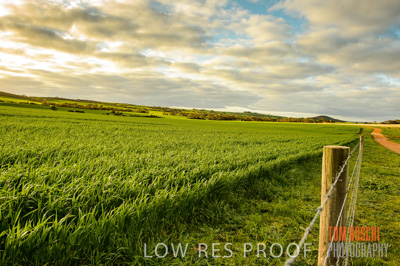 August 2015 / CROP_FIELDS_1114