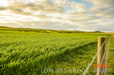 August 2015 / CROP_FIELDS_1115