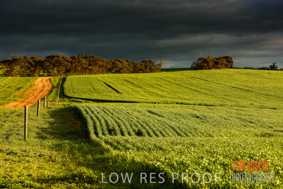 August 2015 / CROP_FIELDS_1119