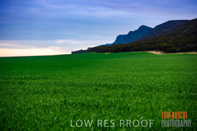 August 2015 / CROP_FIELDS_1128