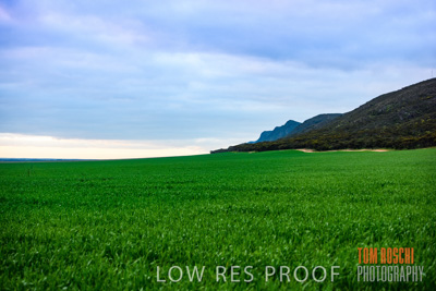 August 2015 / CROP_FIELDS_1129