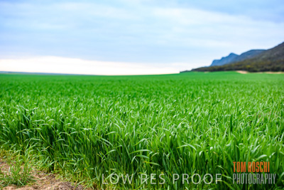August 2015 / CROP_FIELDS_1133