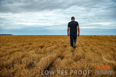 December 2016 / CROP_FIELDS_1152