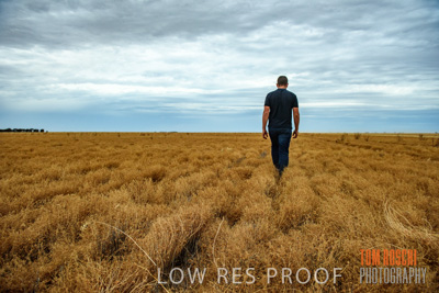 December 2016 / CROP_FIELDS_1153