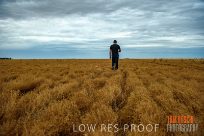 December 2016 / CROP_FIELDS_1154