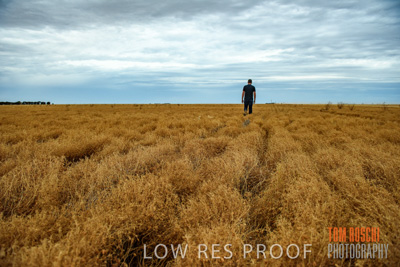 December 2016 / CROP_FIELDS_1155