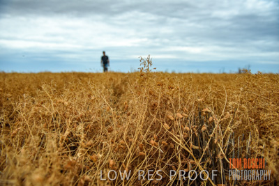 December 2016 / CROP_FIELDS_1162