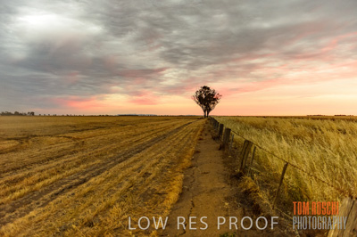 December 2016 / CROP_FIELDS_1211