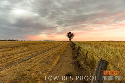 December 2016 / CROP_FIELDS_1212